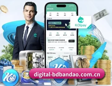 digital-bdbandao.com.cn APP 深度功能
